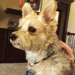 Meet your Posher, Addie